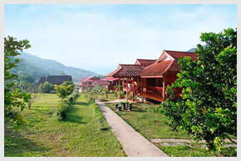 Ϳ  Bor Klua Fa Sai Resort ( ç ., ѡ . ,  . , ѡҤҶ١ . ,  . , Bor Klua Fa Sai Resort , Travel Bor Klua ,  Bor Klua Nan